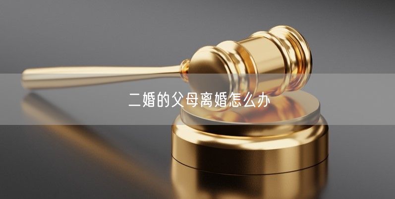 二婚的父母离婚怎么办