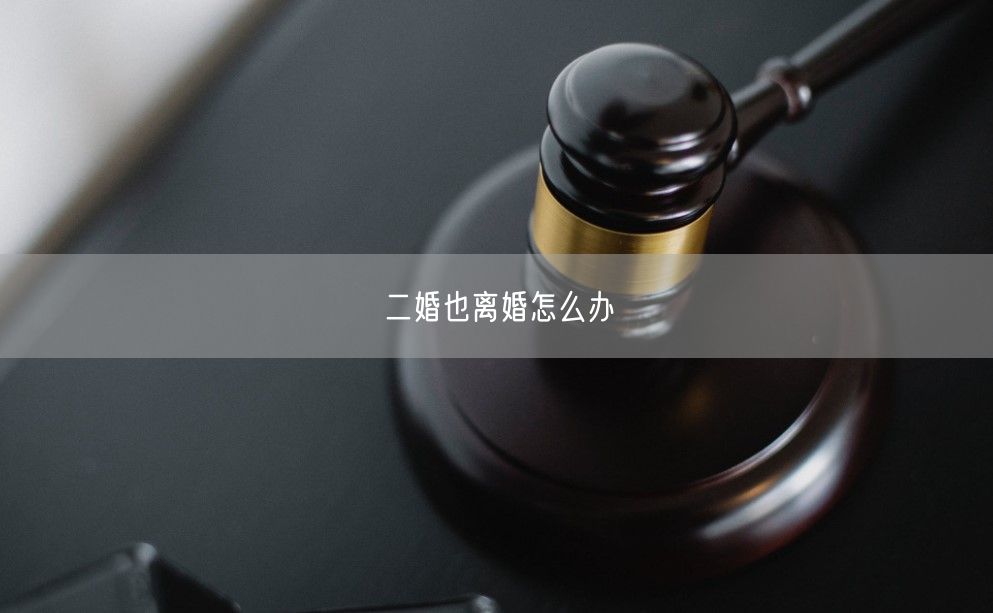 二婚也离婚怎么办